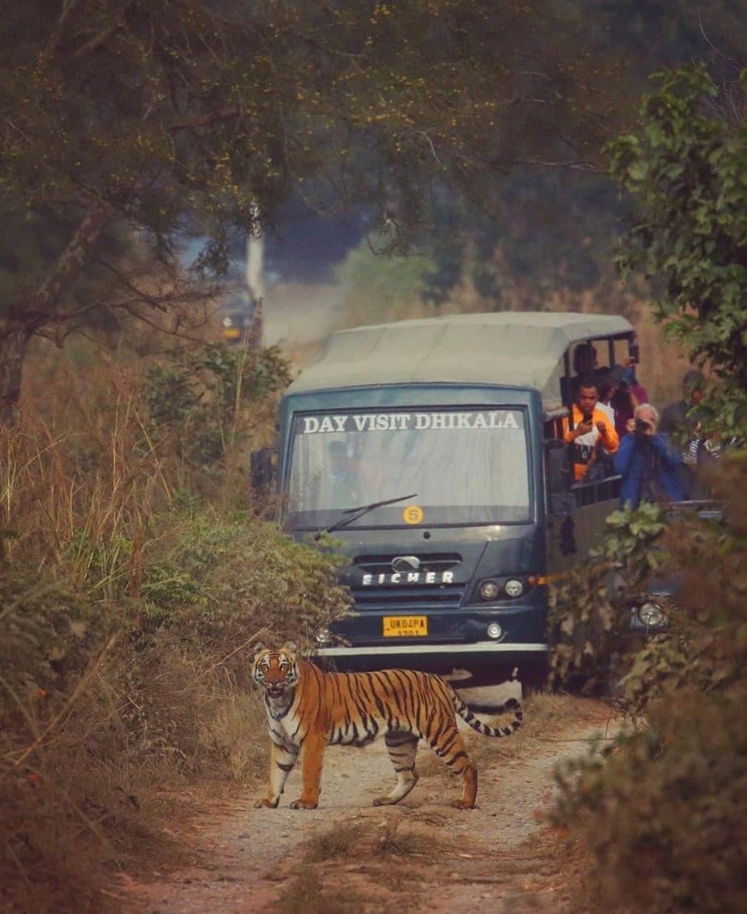 Canter Safari in Jim Corbett National Park
